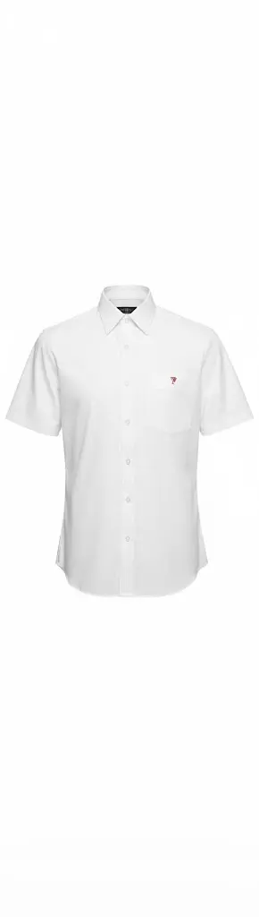 Guayabera Lino Colombiano